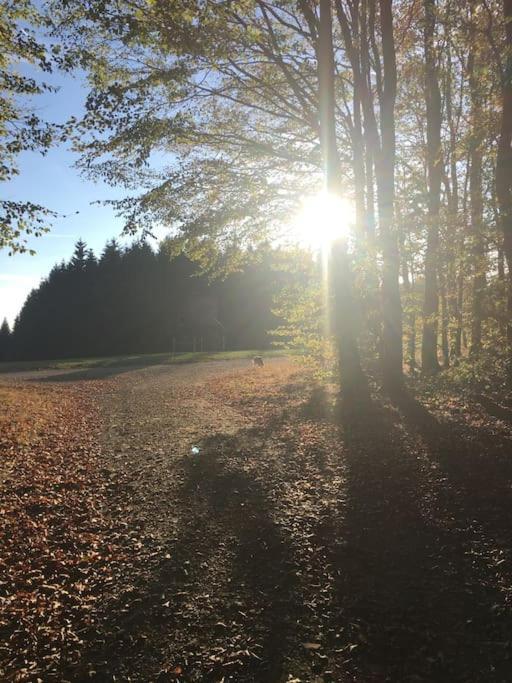 Sauerlandblick Ferienwohnung Altena Exteriör bild